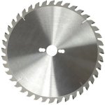 Scheppach pilový kotouč TCT 700/30 mm, 42 zubů 13108001 – Hledejceny.cz