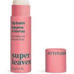 Attitude Super Leaves Přírodní balzám na rty s vůní melounu balzám na rty 8,5 g – Zboží Dáma