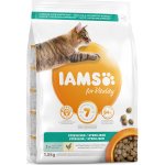 Iams for Vitality Cat Adult Sterilised Chicken 1,5 kg – Hledejceny.cz