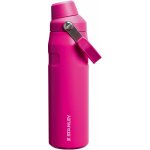 Stanley Termoláhev The IceFlow Bottle Fast Flow 700 ml 24oz Violet Blossom – Hledejceny.cz