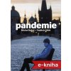 Elektronická kniha Pandemie - Michal Kubal, Vojtěch Gibiš