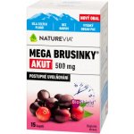 Swiss NatureVia Mega brusinky Akut 15 kapslí – Hledejceny.cz