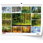 nástěnný Les 45cm x 32cm BNK22-27 2027 – Sleviste.cz