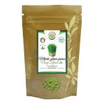 Salvia Paradise Mladá zelená pšenice Bio 500 g – Hledejceny.cz