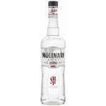 Sambuca Molinari Extra Liqueur 40% 0,7 l (holá láhev) – Zboží Dáma