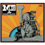 Blue Effect Modrý Efekt Radim Hladík LP – Zboží Dáma