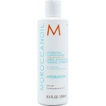Moroccanoil Hydrating Conditioner 250 ml – Zbozi.Blesk.cz