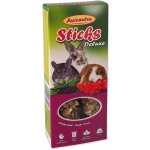 Avicentra Tyčinka Hlodavec lesní ovoce 2 x 60 g – Zboží Dáma