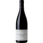 Domaine Changarnier Monthelie Premier Cru Champs Fulliot 2023 Červené 13,5% 0,75 l (holá láhev) – Hledejceny.cz