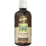 Green idea Šišák tinktura kapky 100 ml – Hledejceny.cz