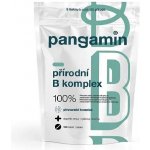 Pangamin přírodní B komplex tablet 120 – Hledejceny.cz