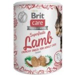 Brit Care Snack Superfruits Lamb Adult 100 g – Zboží Mobilmania