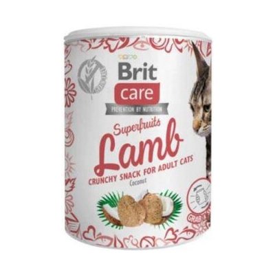 Brit Care Snack Superfruits Lamb Adult 100 g – Zboží Mobilmania