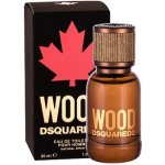 Dsquared2 Wood toaletní voda pánská 30 ml – Zboží Mobilmania