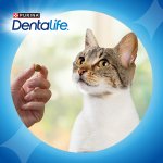 Dentalife losos 40 g – Sleviste.cz