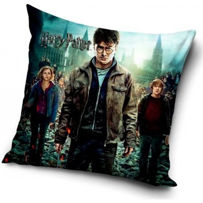 Carbotex Harry Potter Hermiona a Ron 40 x 40 cm – Zbozi.Blesk.cz