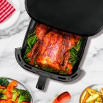 TESLA AirCook Q60 XXL Pro – Sleviste.cz