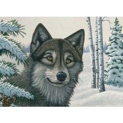 Malování podle čísel Vlk ve sněhu