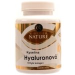 Golden Nature Kyselina Hyaluronová + Rybí kolagen + Vitamin C 100 kapslí – Hledejceny.cz