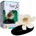 Brait dekorativní osvěžovač vzduchu AROMA 75 ml Frosty delight – Sleviste.cz