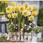 Ambiente ubrousek 33x33cm Narcisky v truhlíku – Hledejceny.cz