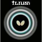 Butterfly Ilius B