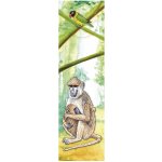 Safari Pavián - Záložka s 3D efektem – Hledejceny.cz