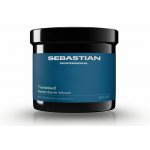 Sebastian Professional Twisted Elastic Curls Mask 500 ml – Hledejceny.cz