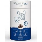 WePharm WeJoint Plus Tasty malé plemeno a kočky 30 ks – Hledejceny.cz