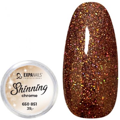 Expa nails třpytky na zdobení nehtů shining chrome glitter 11 2 g – Zboží Mobilmania