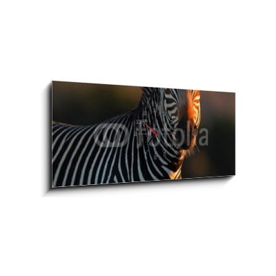 Obraz s hodinami 1D panorama - 120 x 50 cm - Cape Mountain Zebra portrait Portrét Cape Mountain Zebra – Zboží Mobilmania