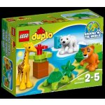 LEGO® DUPLO® 10801 Mláďátka – Zbozi.Blesk.cz