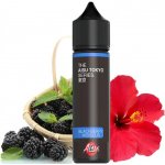 ZAP! Juice Blackberry Hibiscus - AISU TOKYO Shake & Vape 20 ml – Zboží Dáma