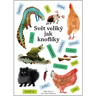 Svět veliký jak knoflíky - Milena Lukešová – Hledejceny.cz