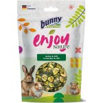 Bunny Nature Enjoy Sušená okurka s koprem 40 g – Sleviste.cz
