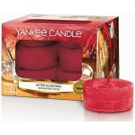 Yankee Candle After Sledding 12 x 9,8 g – Zbozi.Blesk.cz