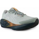 Asics Novablast 5 TR M 1011C138300 nature bathing/lichen rock – Hledejceny.cz