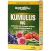 Přípravek na ochranu rostlin Agrobio Kumulus WG proti padlí 2x100 g