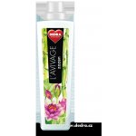 Dedra avivážní kondicionér L´avivage 2in1 Zazen 750 ml – Zboží Dáma