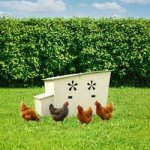 Veselé hnízdo Plastový kurník 132 x 80 x 85 cm – Sleviste.cz