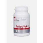 VetExpert ArthroVet Complex kloubní přípravek pro psy a kočky 60 tablet – Hledejceny.cz