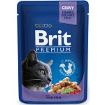Brit Premium Cat Cod Fish 100 g – Zbozi.Blesk.cz