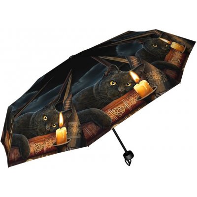 Deštník s kočkou a knihami skládací černý – Hledejceny.cz
