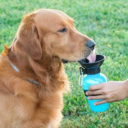 Aqua Dog 0118 cestovní láhev na vodu pro psa 0,5 l