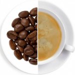 Oxalis Barbados bez kofeinu aromatizovaná káva 0,5 kg – Hledejceny.cz