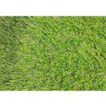 Lano Easy California 30 Zelená 2 m metráž – Hledejceny.cz