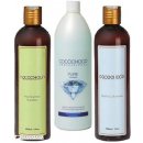 Cocochoco Brazilský Keratin pure 250 ml + čisticí 400 ml + Bezsulfátový šampon 400 ml dárková sada