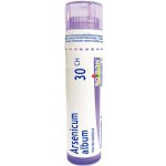ARSENICUM ALBUM POR 30CH GRA 1X4G – Hledejceny.cz