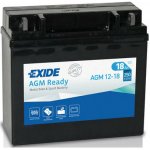 Exide AGM12-19.1 | Zboží Auto