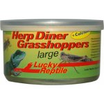 Lucky Reptile Herp Diner - sarančata 35 g – Zboží Mobilmania